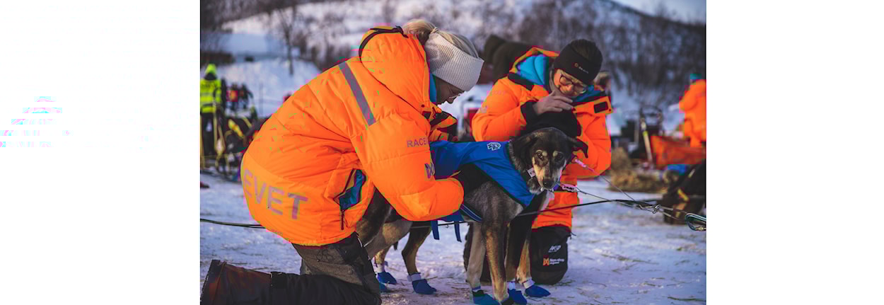 Veterinærseminar 2025